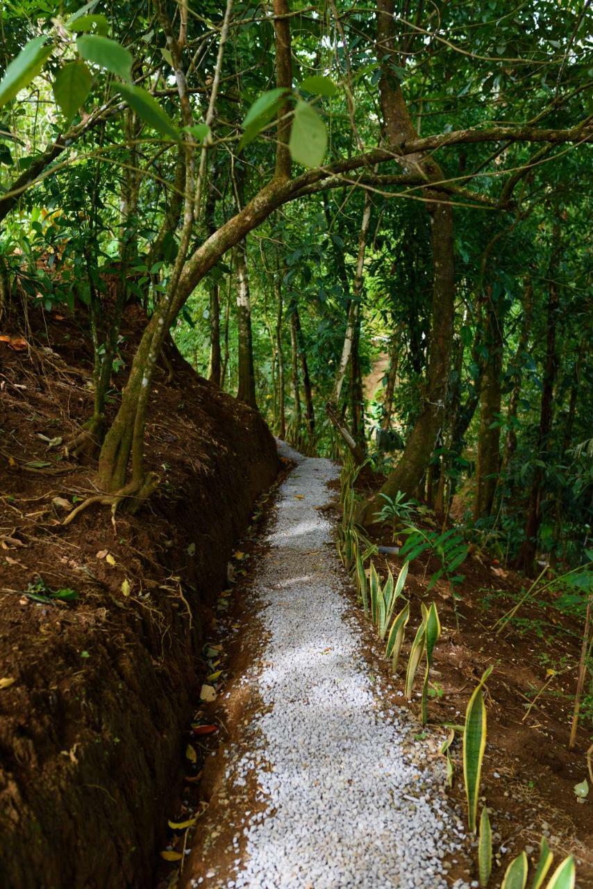 Volcano Gold Loft La Fortuna Bagian luar foto