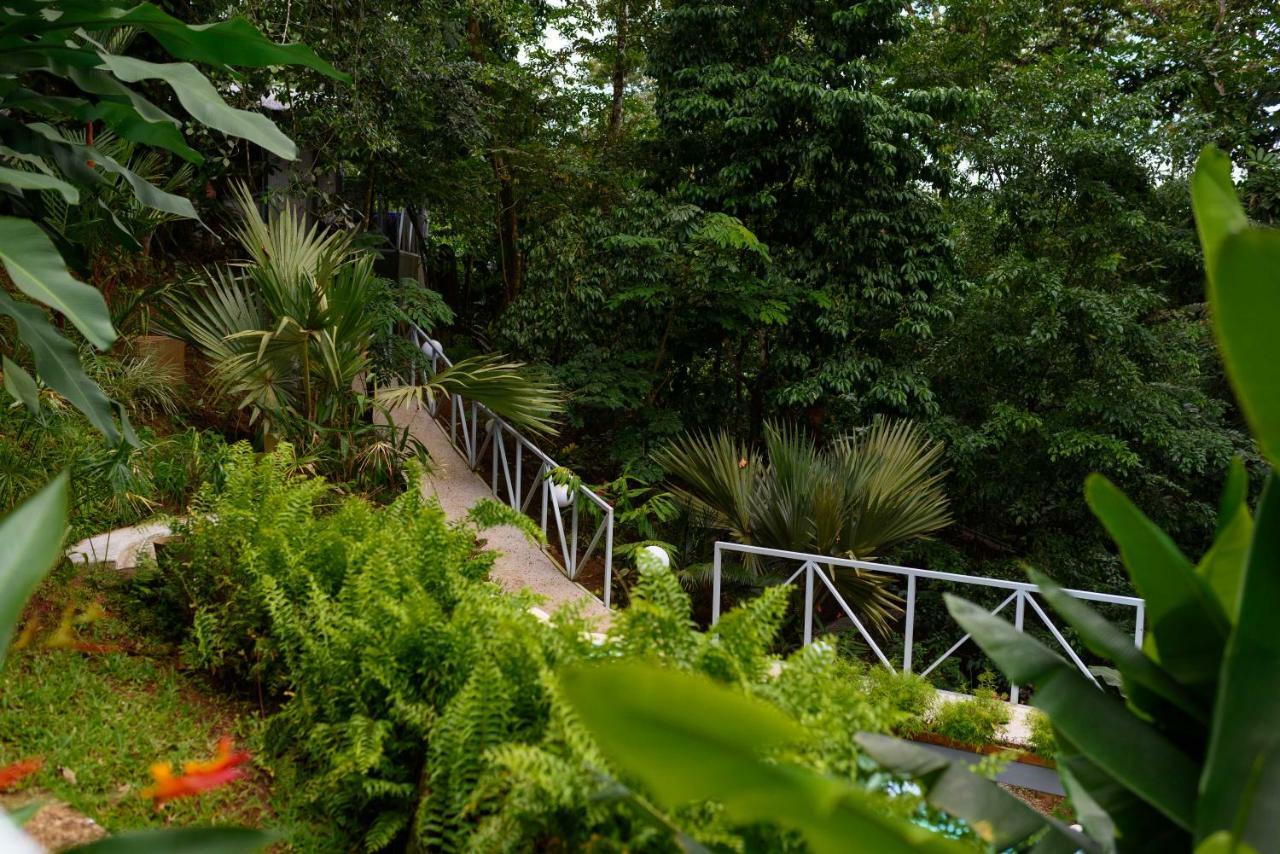 Volcano Gold Loft La Fortuna Bagian luar foto
