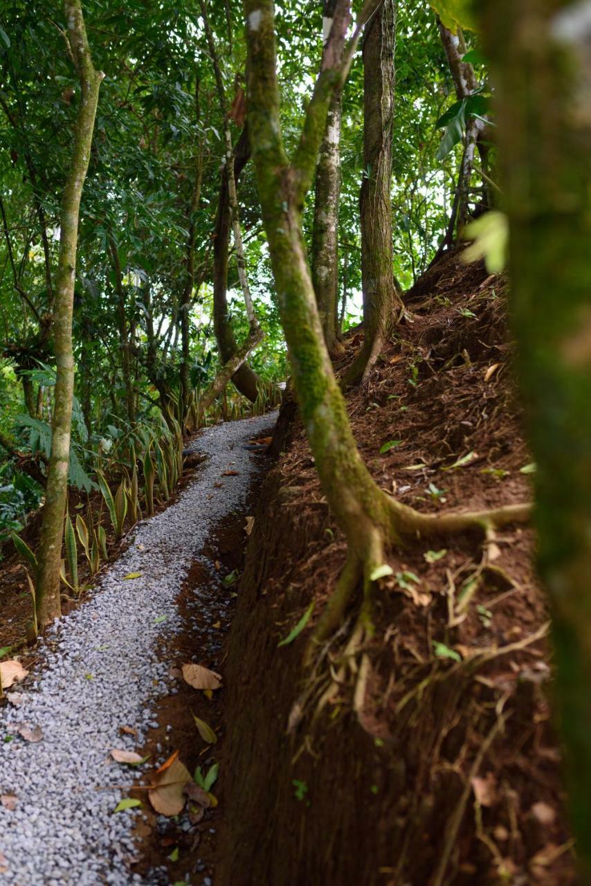 Volcano Gold Loft La Fortuna Bagian luar foto
